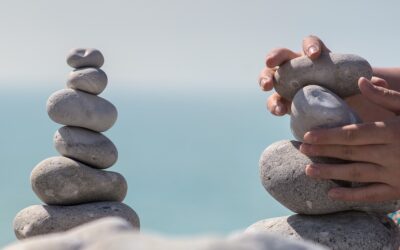Balancing Act: Family Systems 101