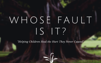 Whose Fault Is It?