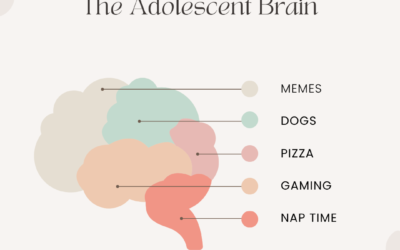 The Adolescent Brain