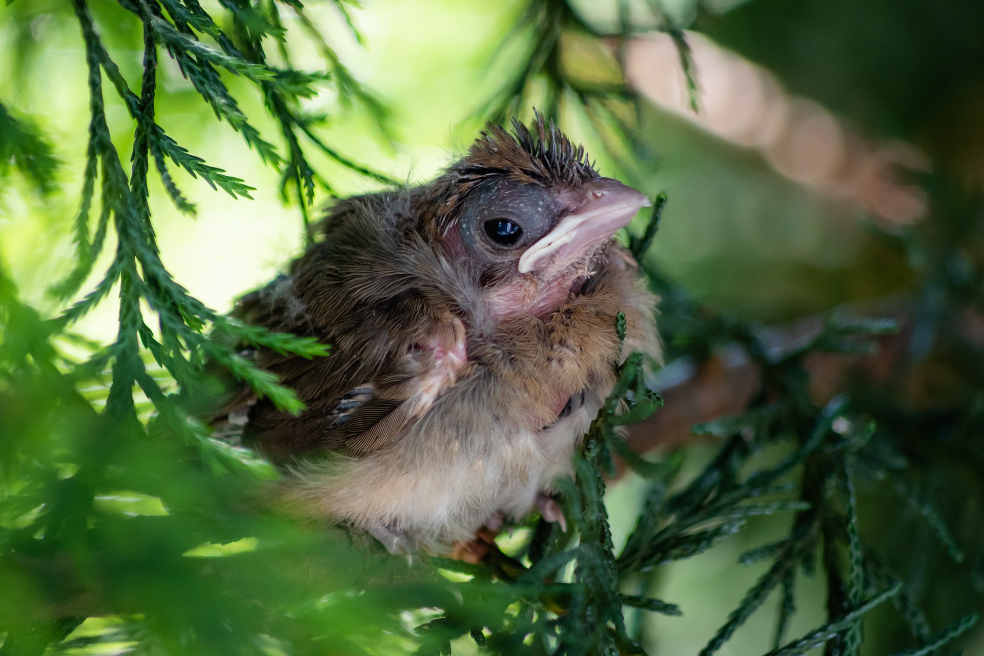 Hope for the best, prepare for the worst!; Anticipatory Grief 101